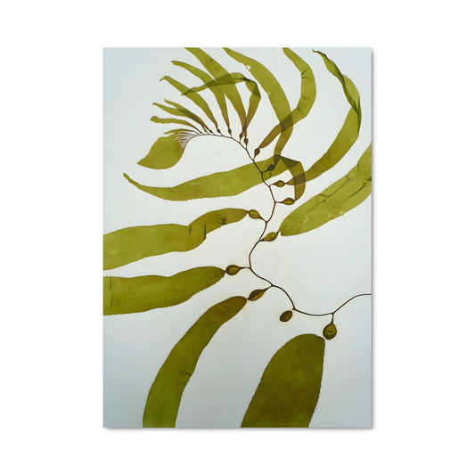 Poster Feuillage Marin