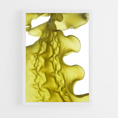 ap-seaweed-2 cadre Blanc