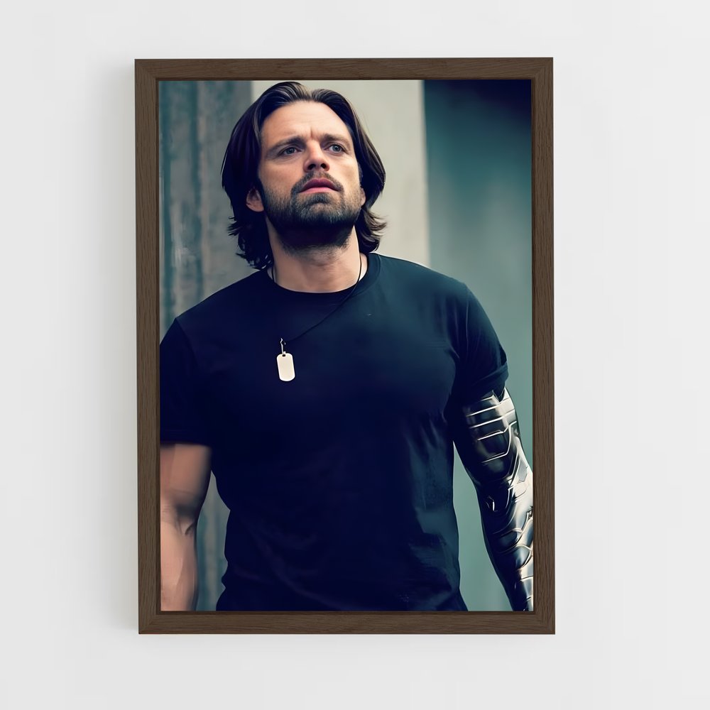 ap-sebastian stan-2 cadre Bois foncé