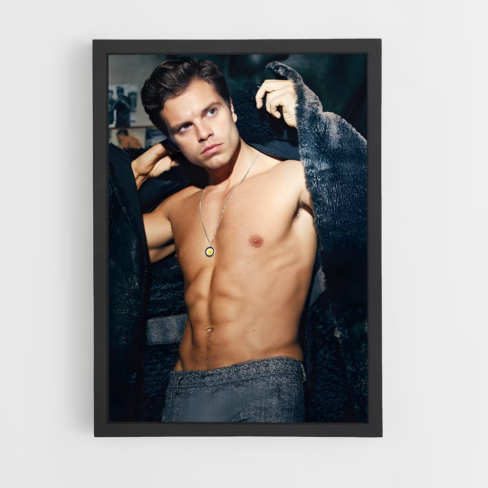 ap-sebastian stan-7 cadre Noir