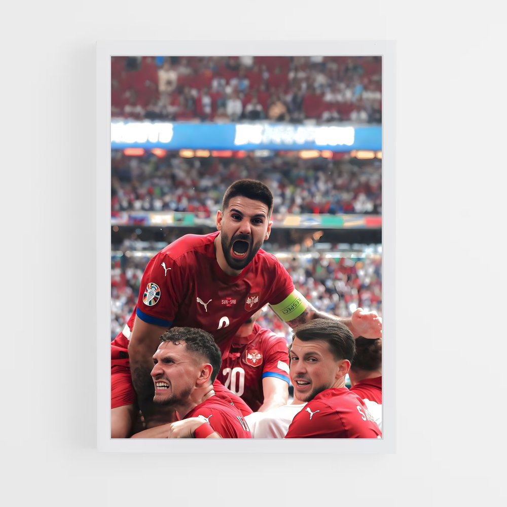 ap-serbia national football team-1 cadre Blanc