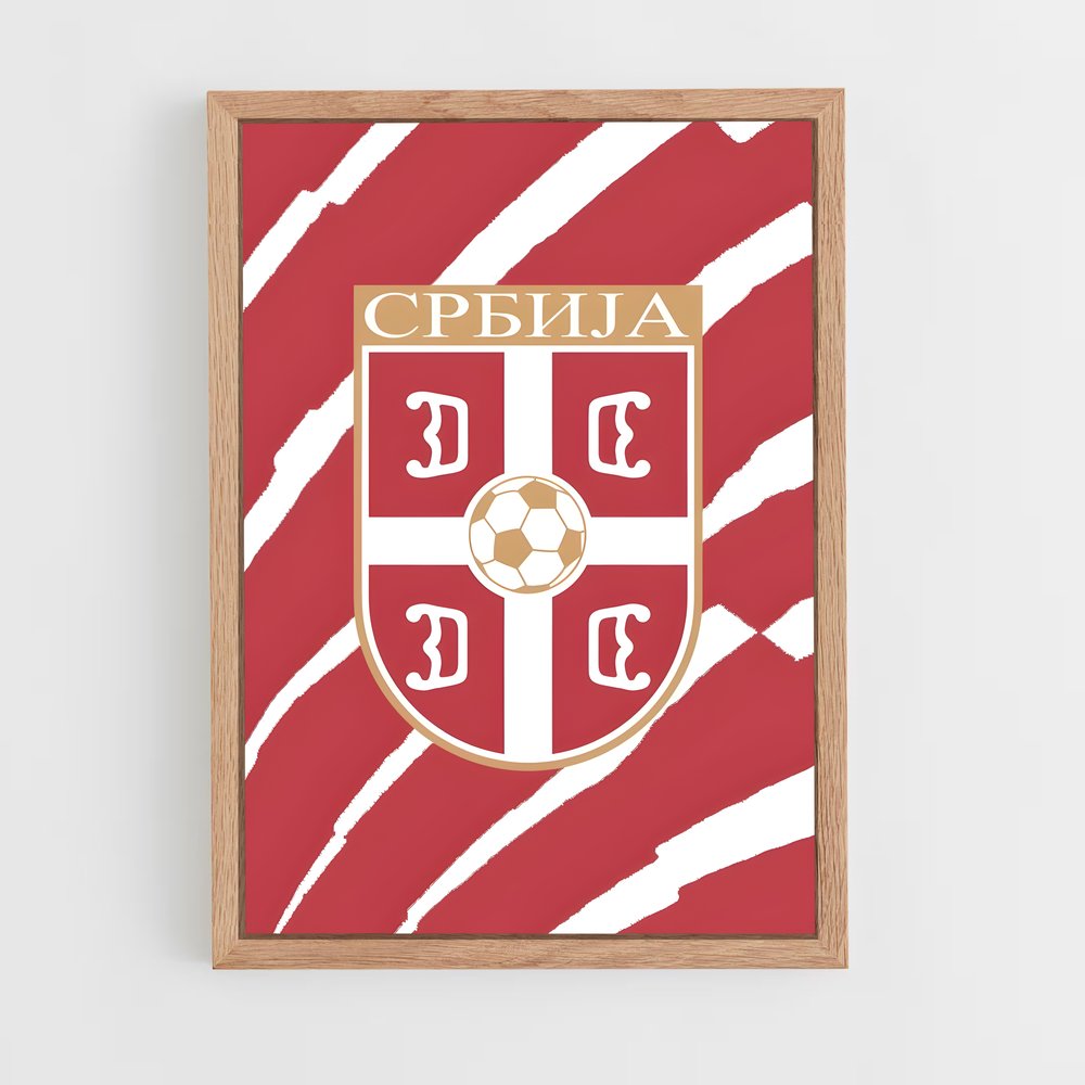 ap-serbia national football team-4 cadre Bois clair