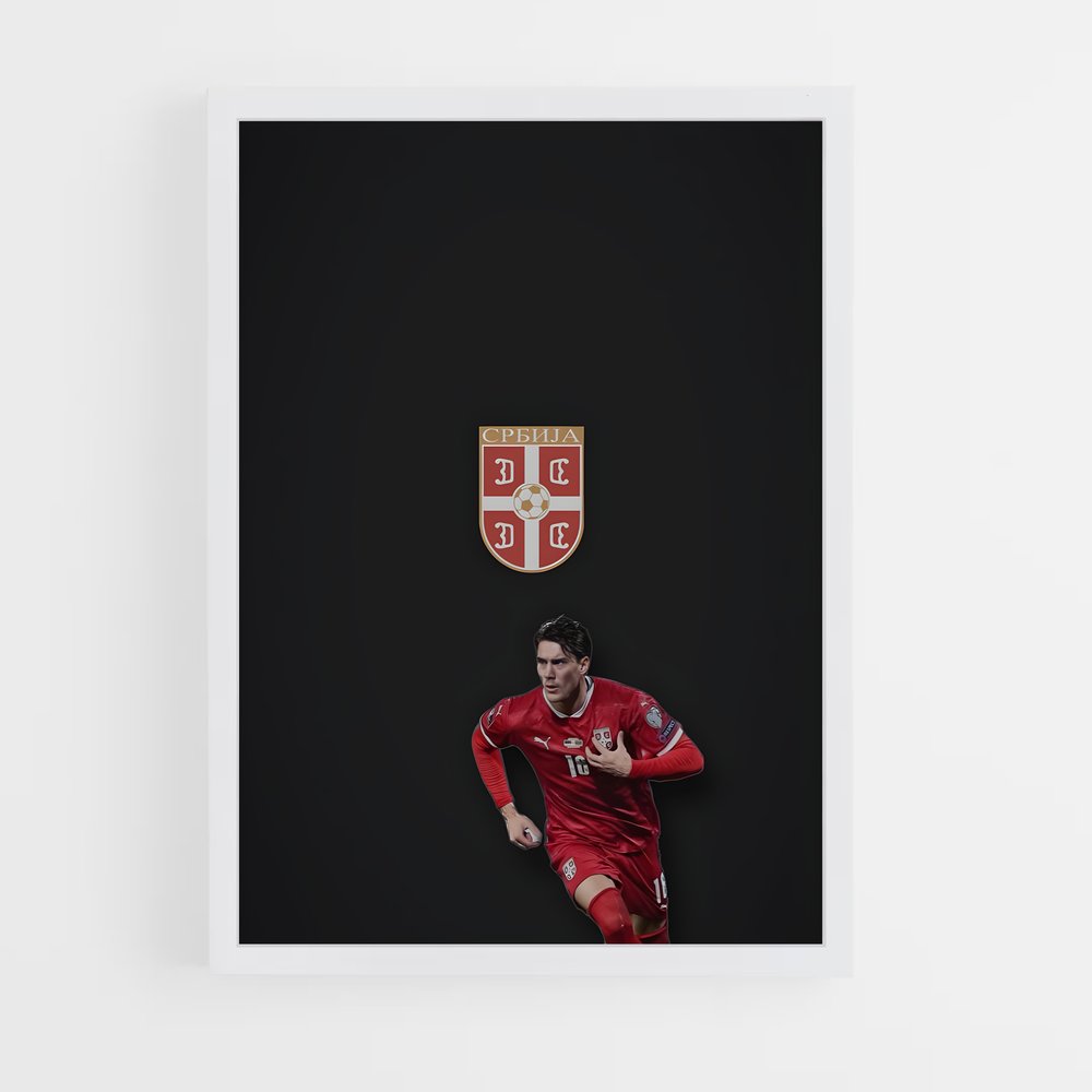 ap-serbia national football team-7 cadre Blanc