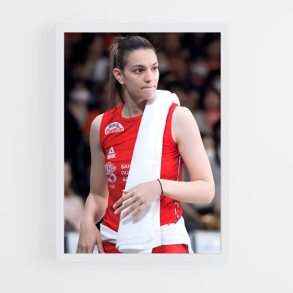 ap-serbia national volleyball team-3 cadre Blanc