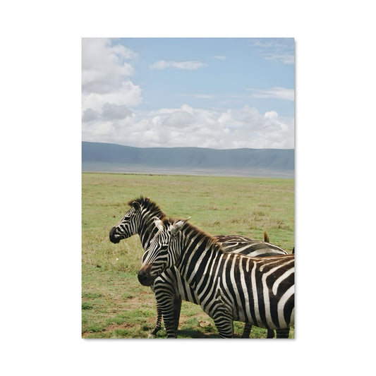 Poster Serengeti Zebras
