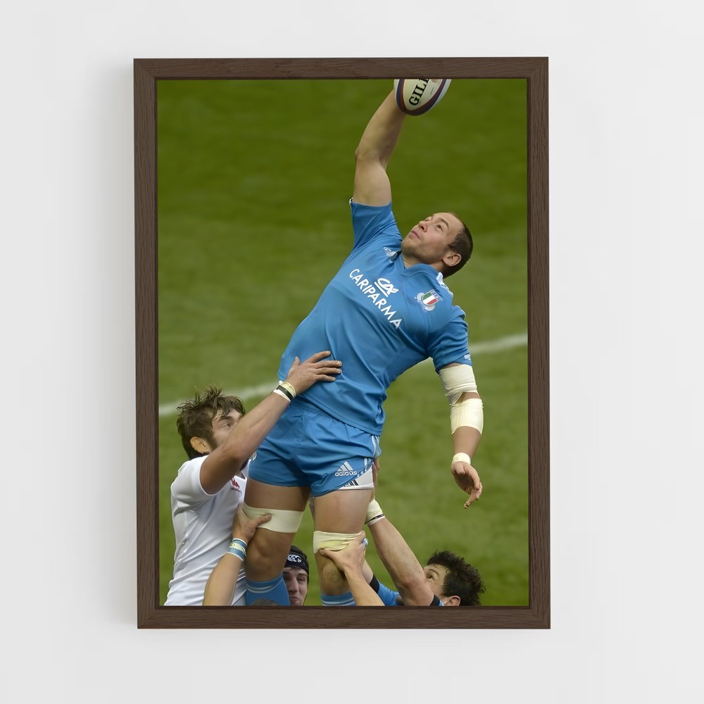 ap-sergio parisse-2 cadre Bois foncé