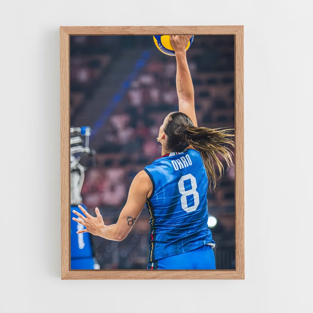 ap-serie a1 italy volleyball-1 cadre Bois clair