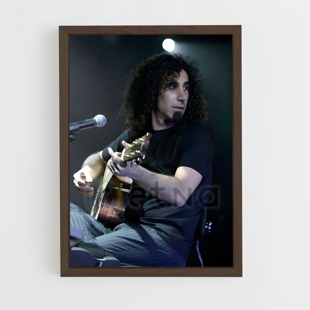 ap-serj tankian-2 cadre Bois foncé