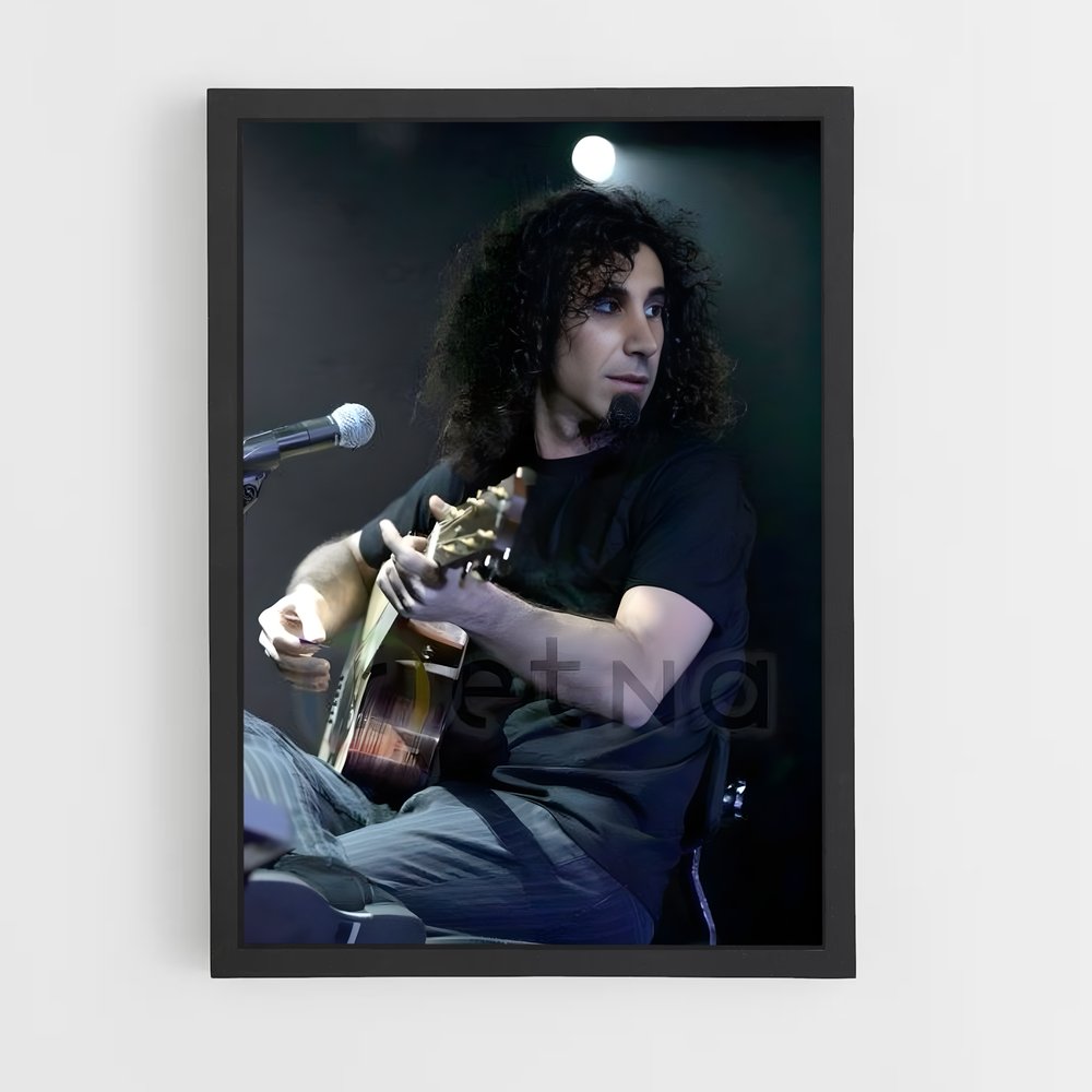 ap-serj tankian-2 cadre Noir