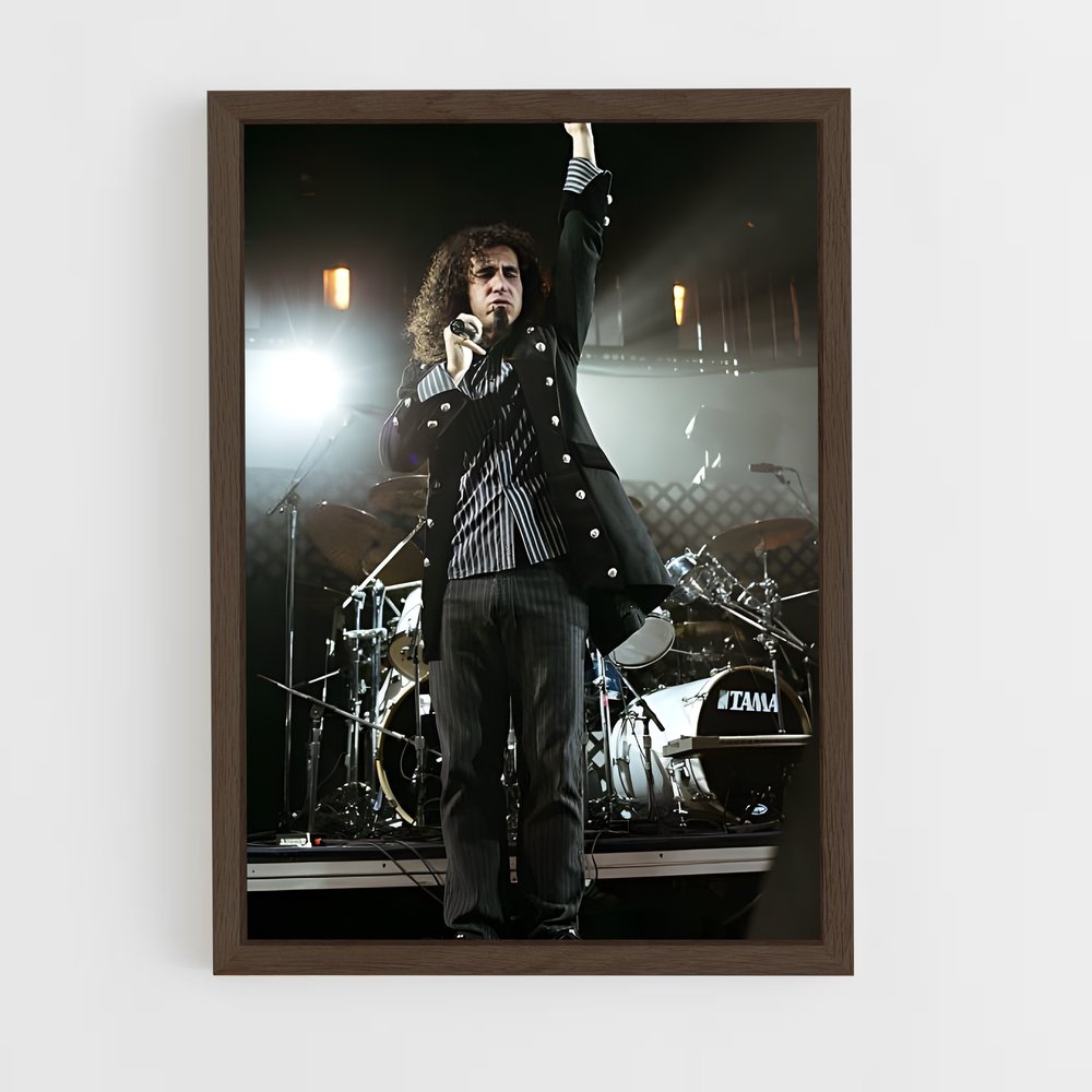 ap-serj tankian-4 cadre Bois foncé