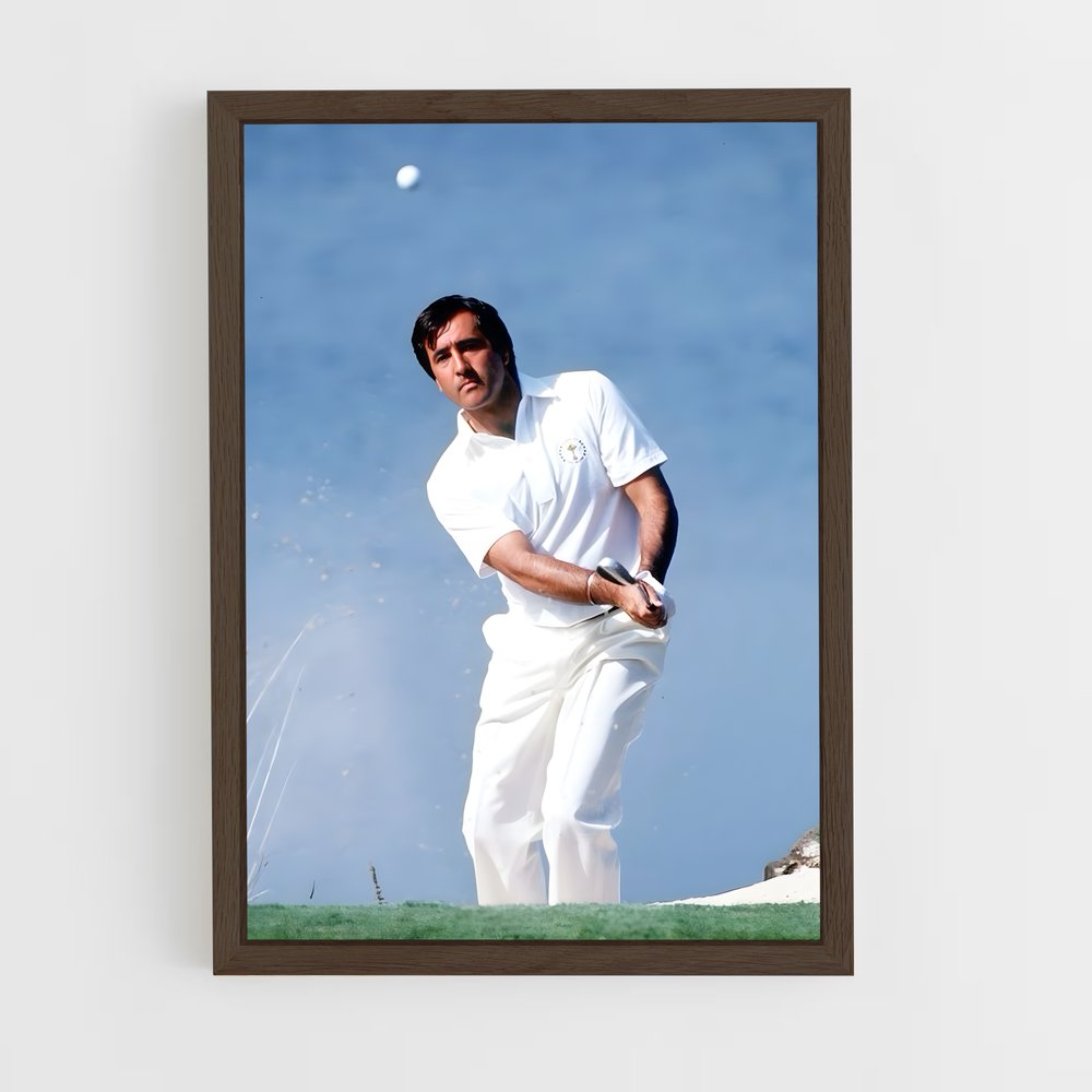 ap-seve ballesteros-7 cadre Bois foncé