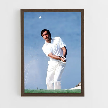 ap-seve ballesteros-7 cadre Bois foncé