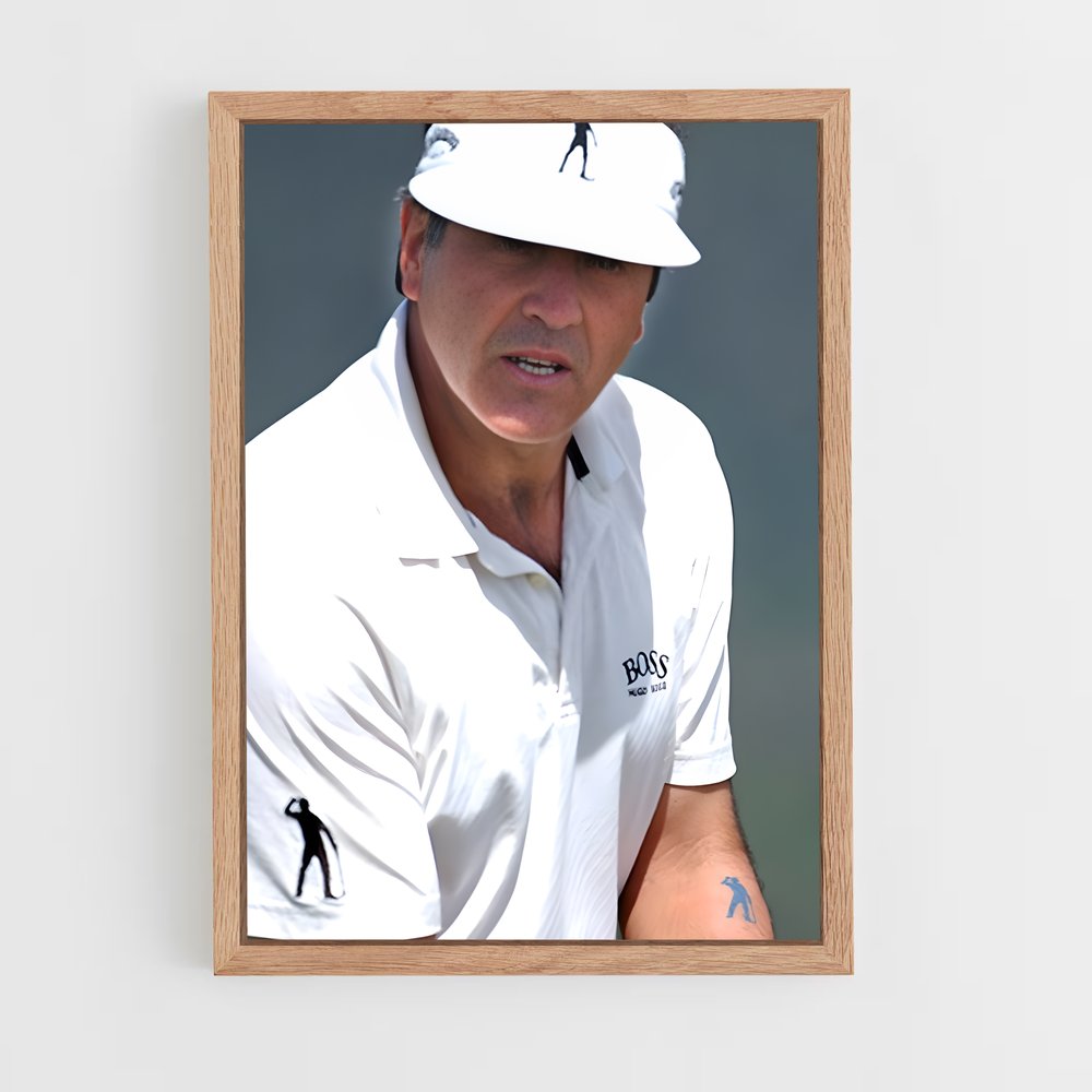 ap-seve ballesteros-8 cadre Bois clair