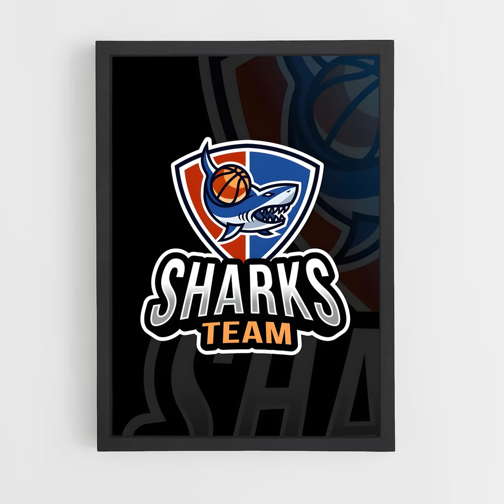 ap-shanghai sharks basketball-1 cadre Noir