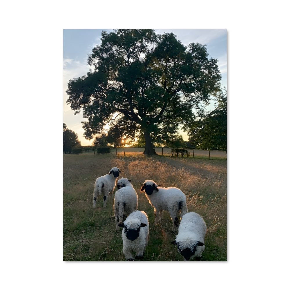 Poster La Trinité Champêtre