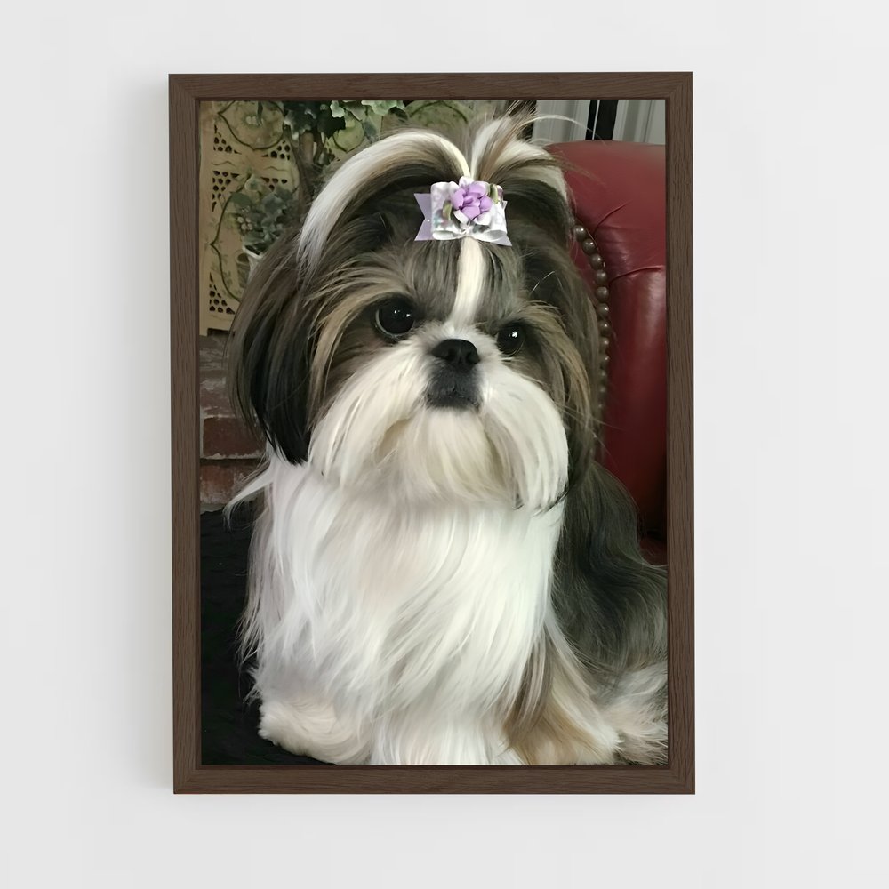 ap-shih tzu-2 cadre Bois foncé