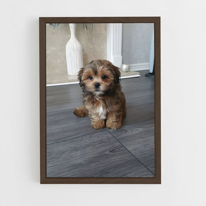 ap-shih tzu-3 cadre Bois foncé
