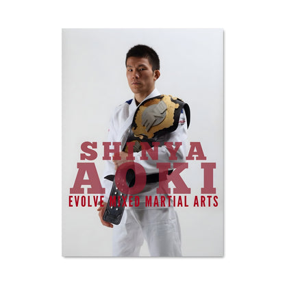 Poster Aoki Evolution