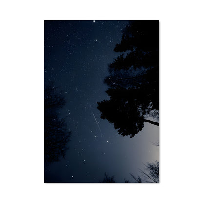 Poster Shooting star 97218