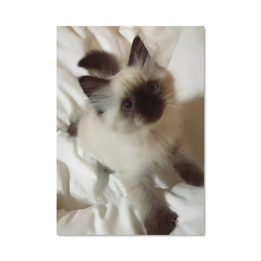 Poster Minou Douillet