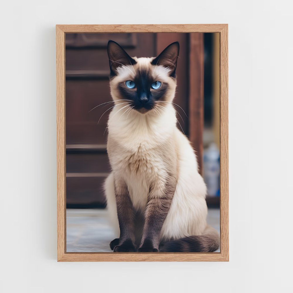 ap-siamese-4 cadre Bois clair