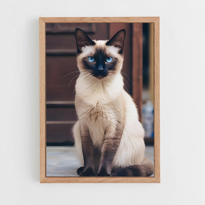 ap-siamese-4 cadre Bois clair