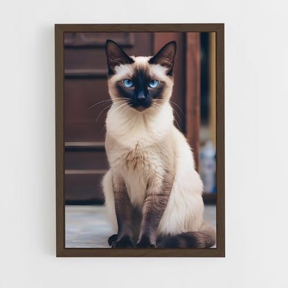 ap-siamese-4 cadre Bois foncé