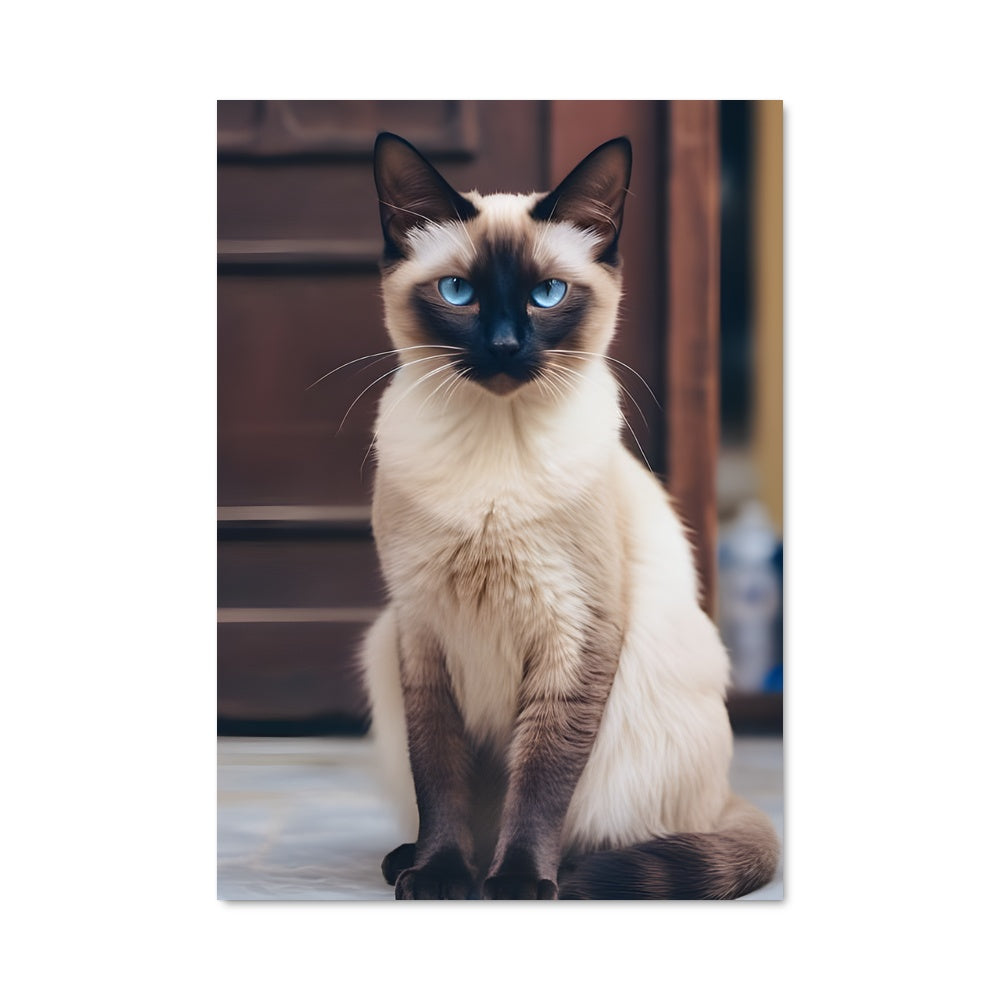 Poster Siamese 84770