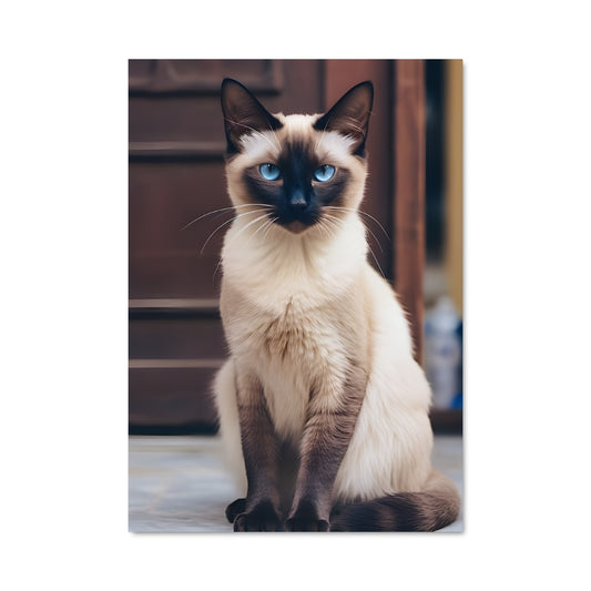 Poster Siamese 84770