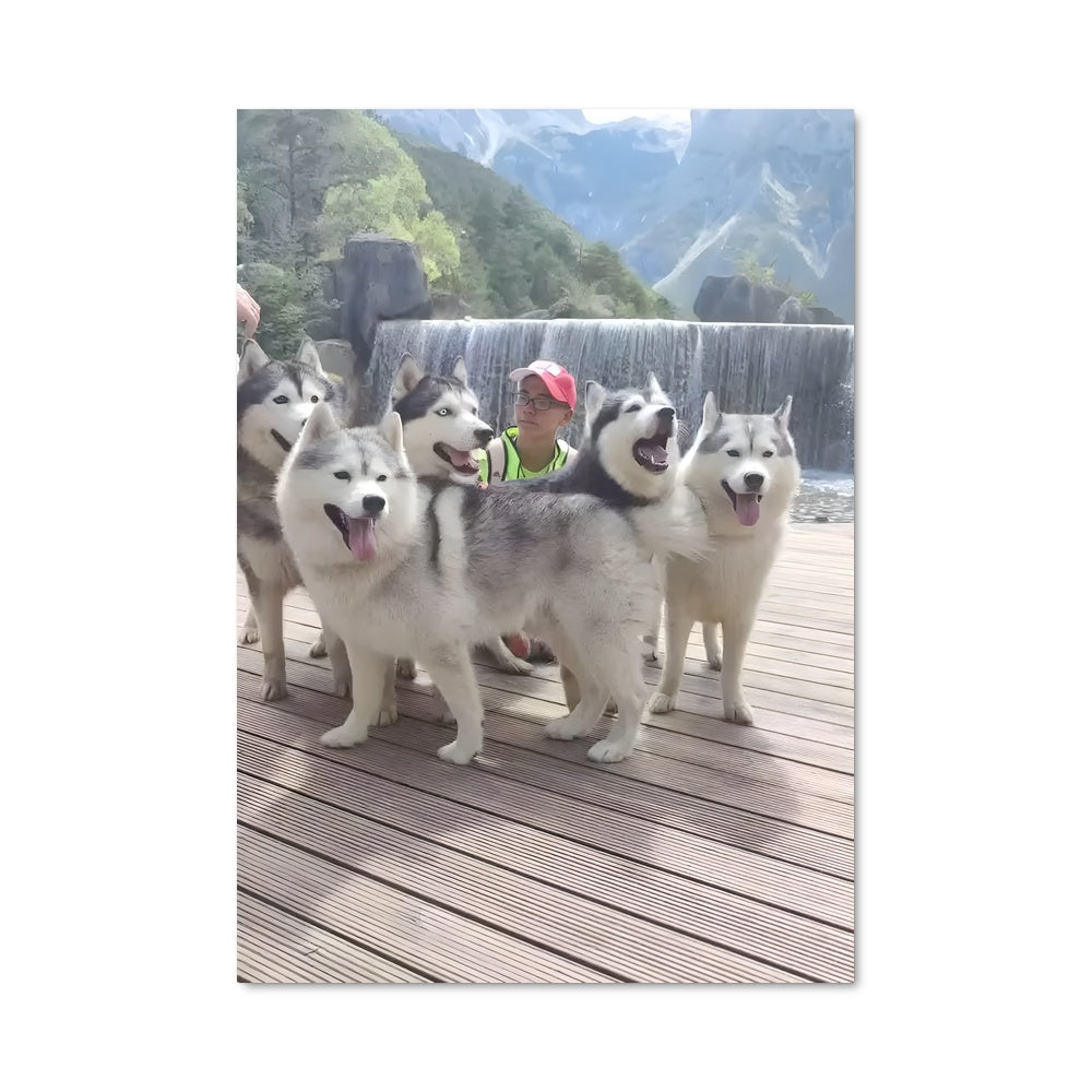 Poster Husky Heroes