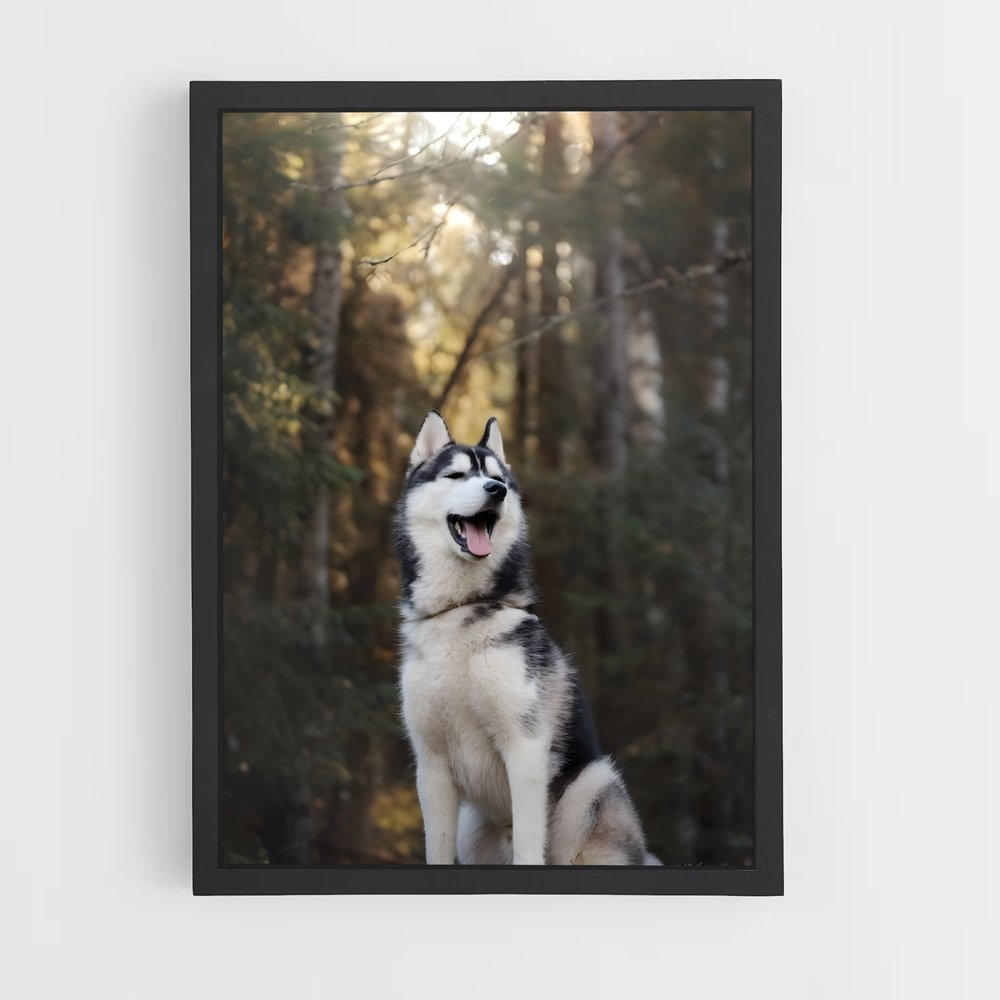 ap-siberian husky champions-1 cadre Noir