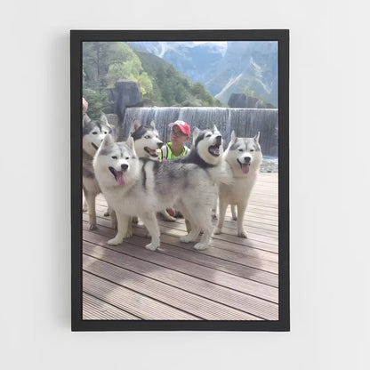 ap-siberian husky champions-2 cadre Noir