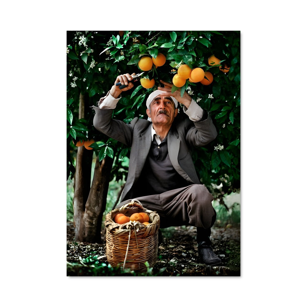 Poster L'Harmonie des Agrumes