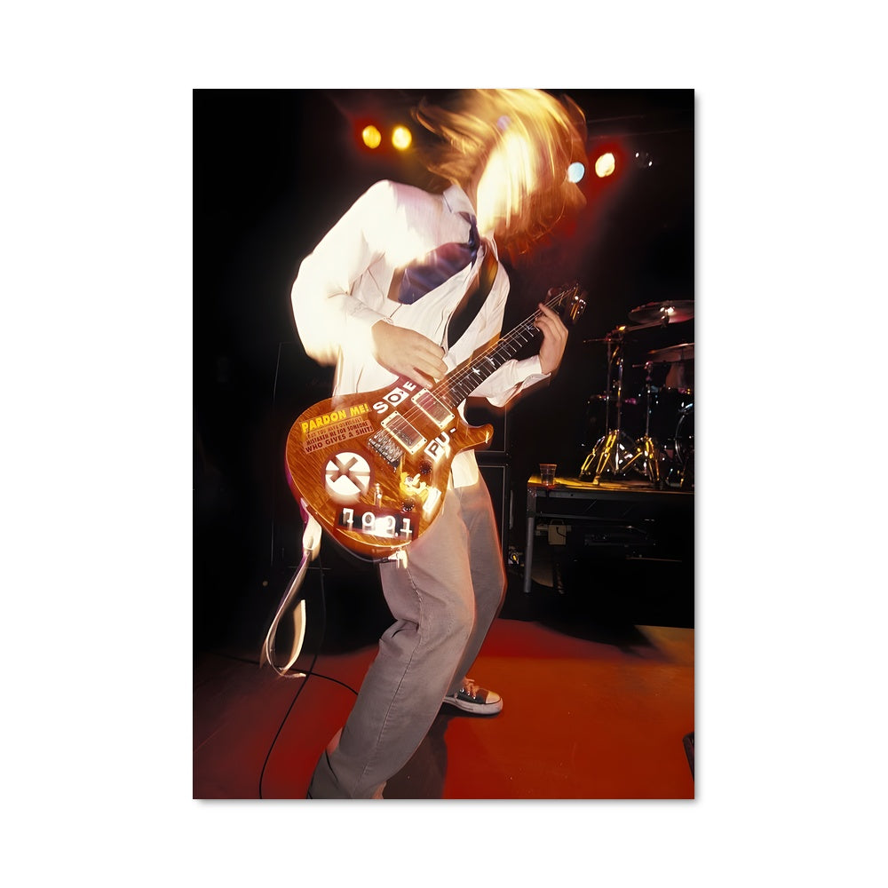 Poster Stage Dive