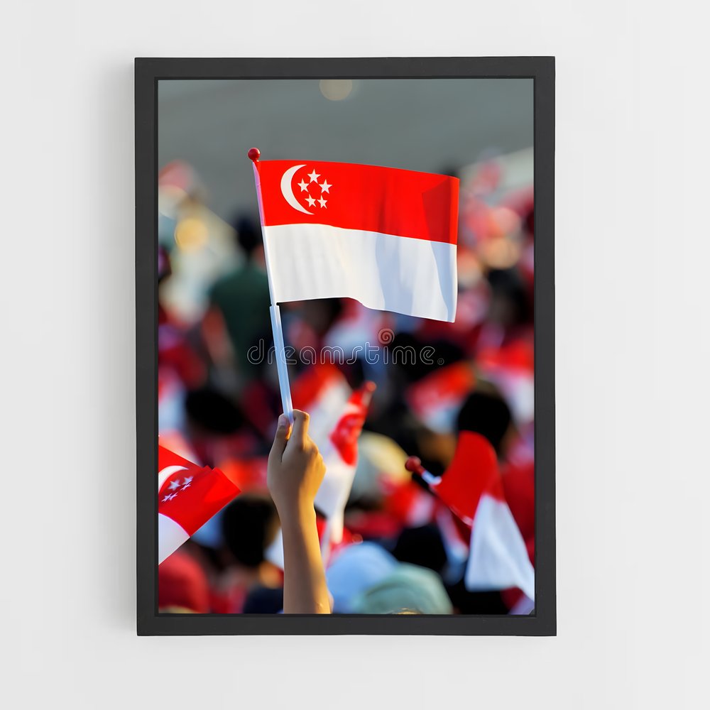 ap-singapore flag-1 cadre Noir