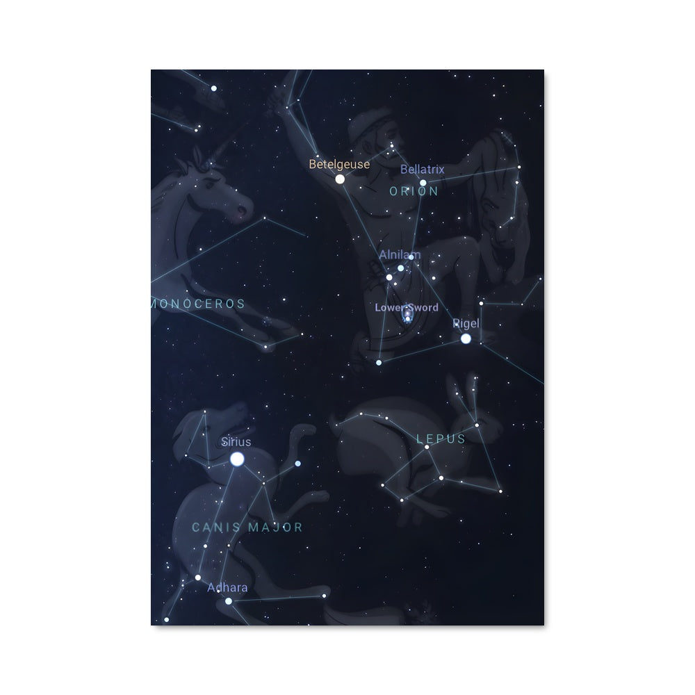 Poster Zodiacal Étoilé