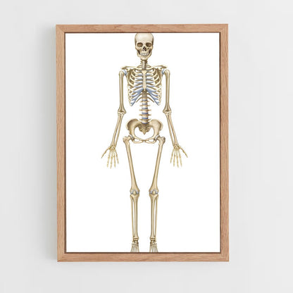 ap-skeleton-7 cadre Bois clair