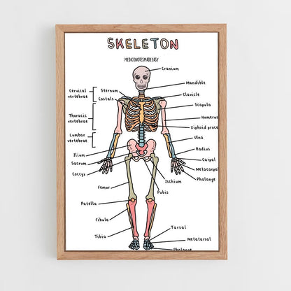 ap-skeleton-8 cadre Bois clair