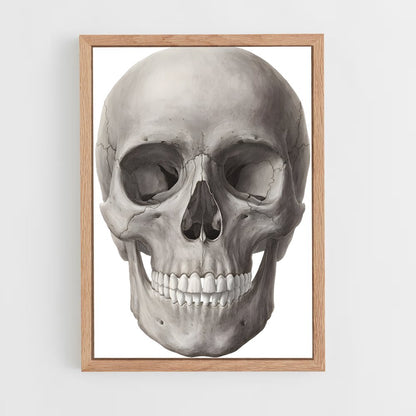ap-skull-1 cadre Bois clair