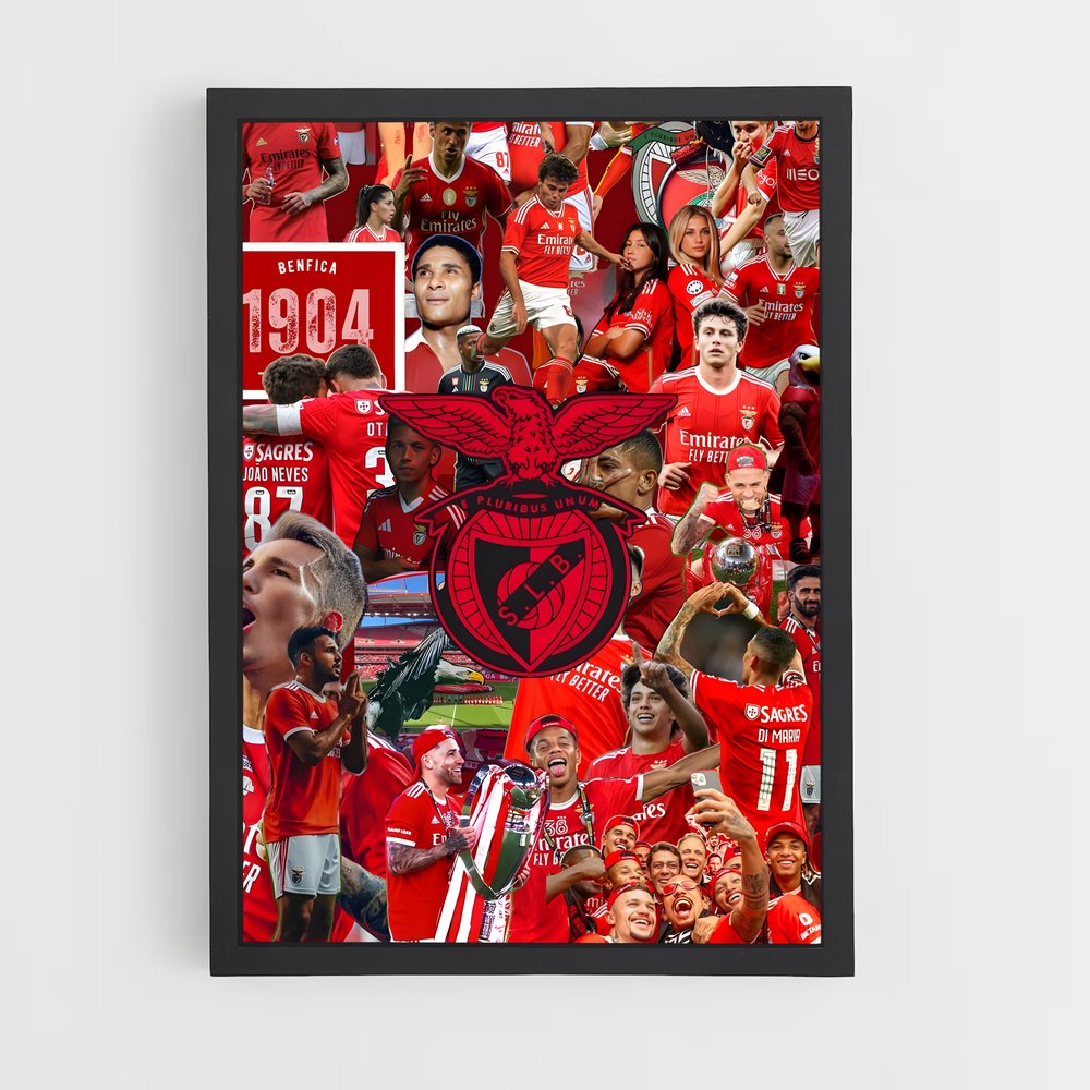 ap-sl benfica-15 cadre Noir