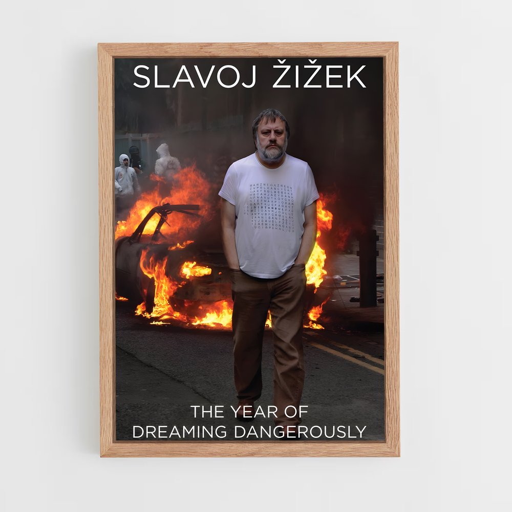ap-slavoj zizek-4 cadre Bois clair
