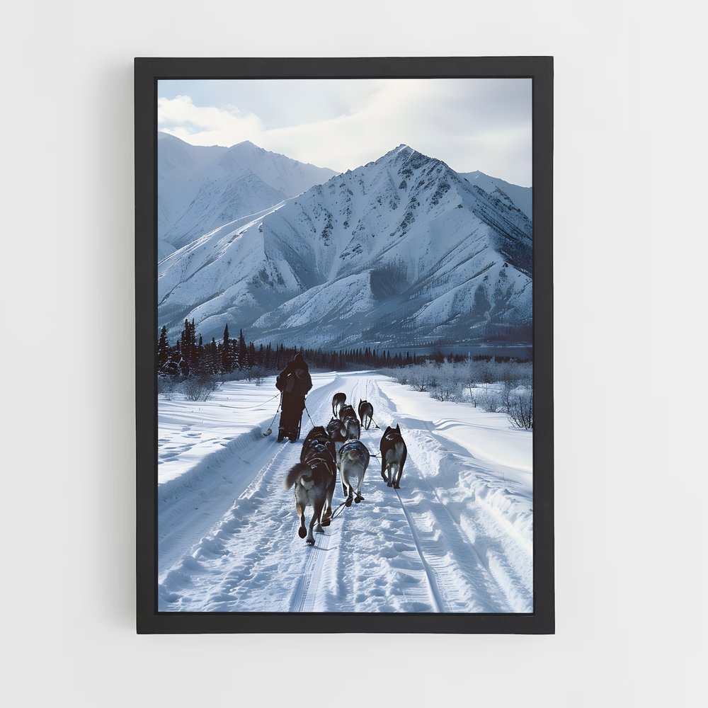 ap-sled dog teams alaska-1 cadre Noir