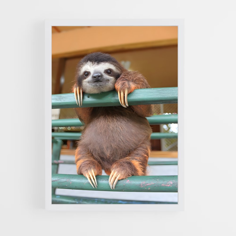 ap-sloth-1 cadre Blanc