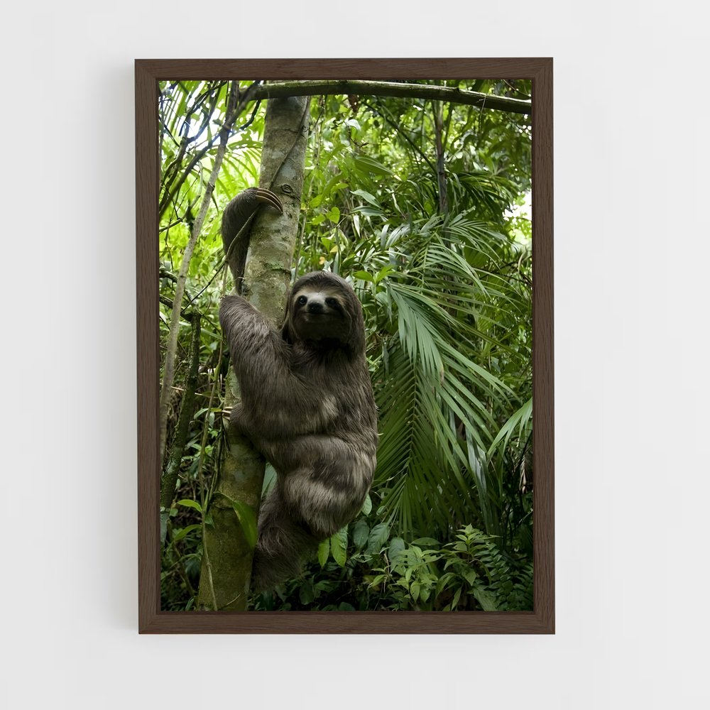 ap-sloth-4 cadre Bois foncé