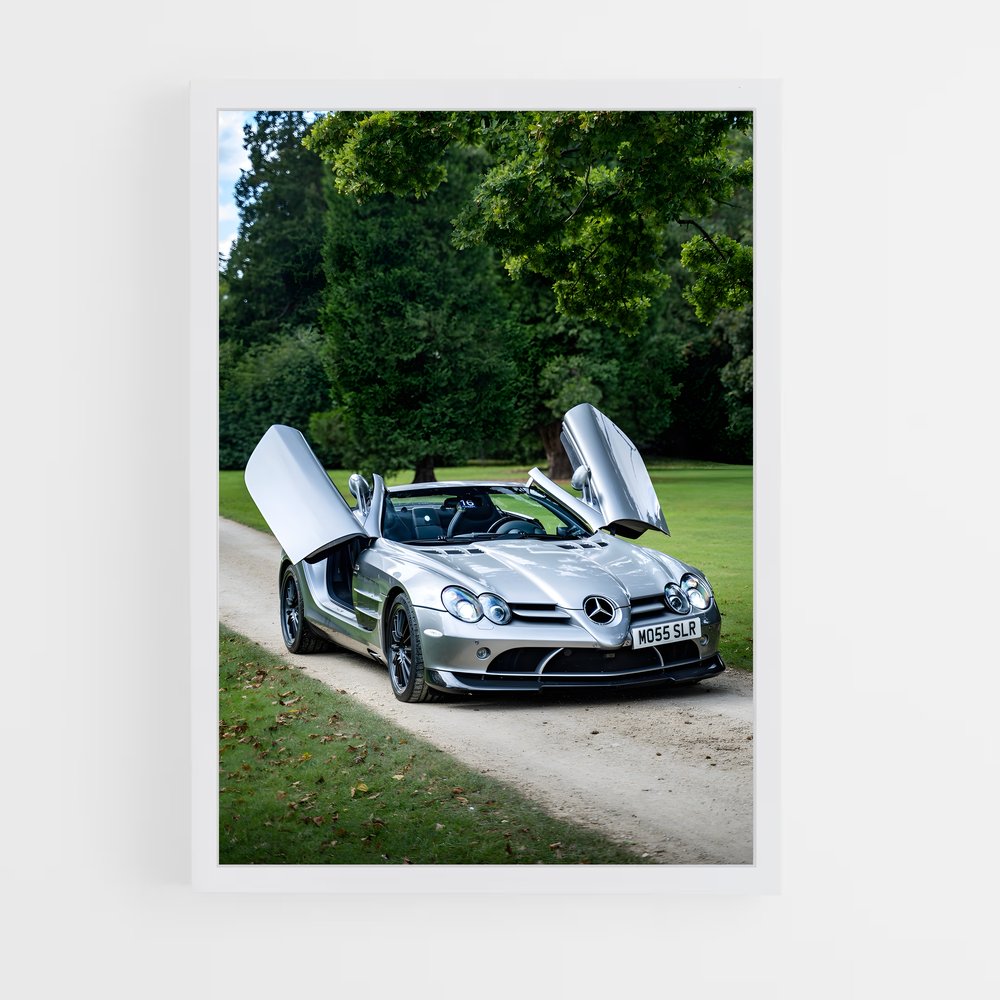 ap-slr 722-1 cadre Blanc