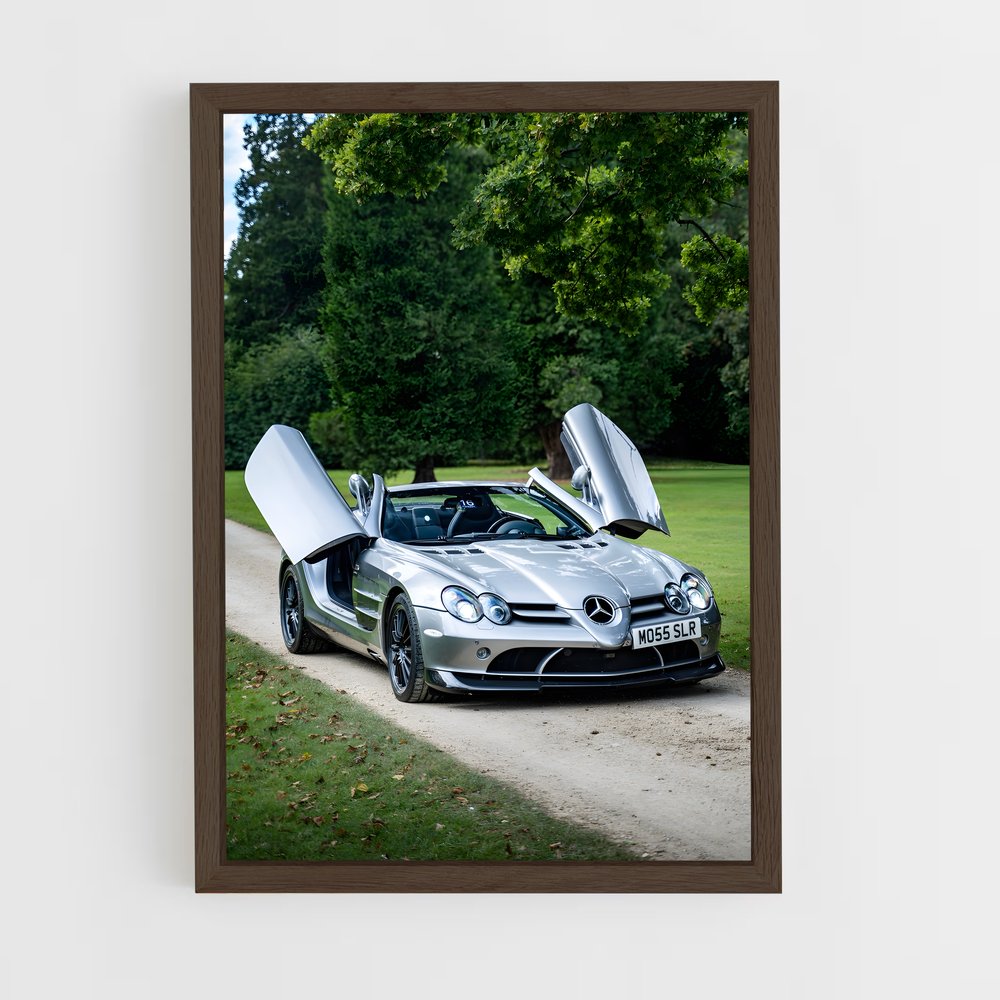 ap-slr 722-1 cadre Bois foncé