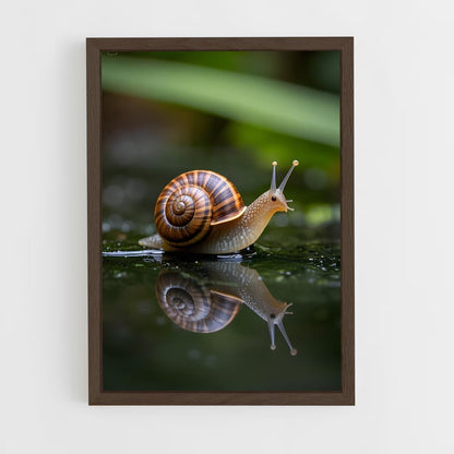 ap-snail-1 cadre Bois foncé