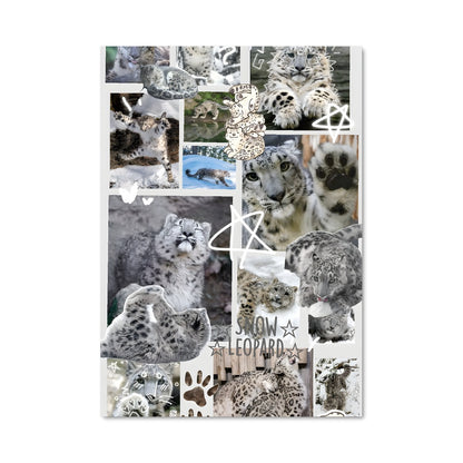 Poster Ombres des Neiges