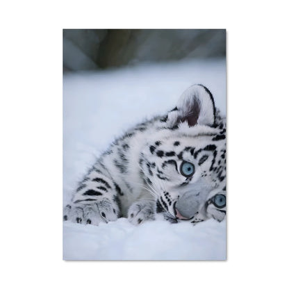 Poster Petit Léopard des Neiges