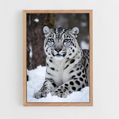 ap-snow leopard-2 cadre Bois clair